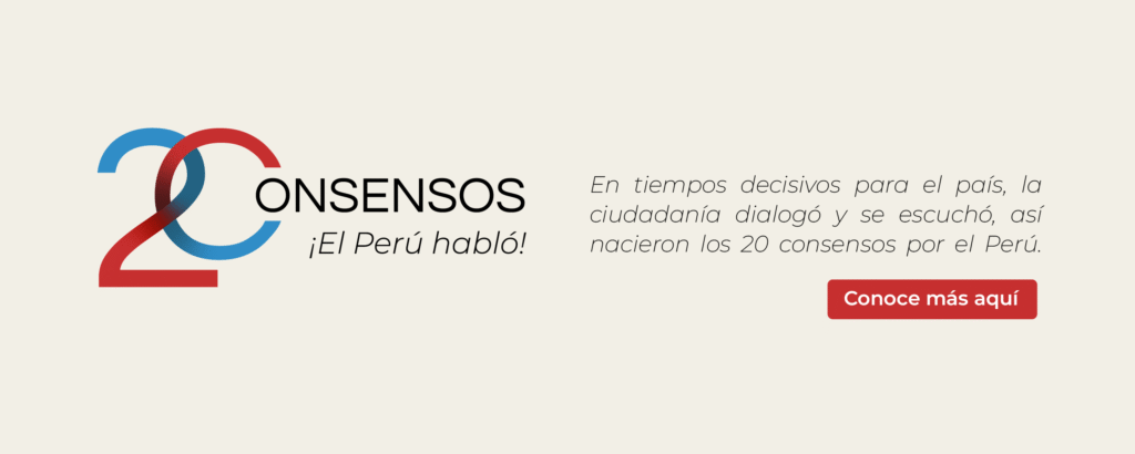 https://www.coalicionciudadana.pe/20-consensos/